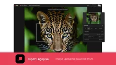 Topaz Gigapixel v1.0 がリリース！新しいStandard Max＆Wonderモデルの追加、無制限のクラウドレンダリングなど